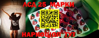 индика Новокубанск