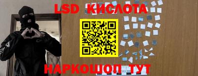 индика Новокубанск