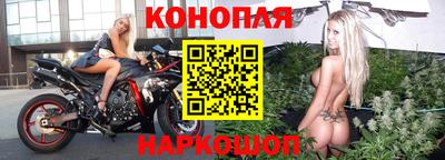 индика Новокубанск